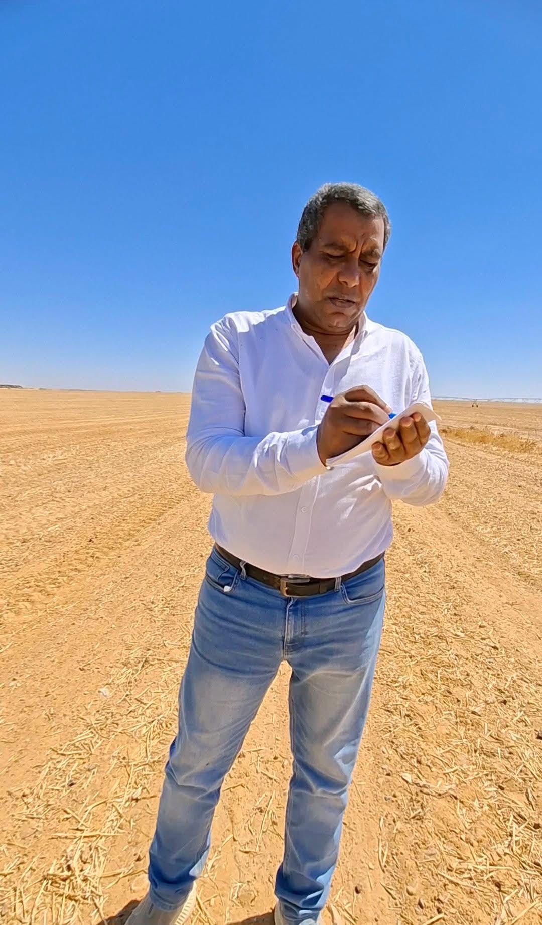 أزمة ولها حل.. عشوائية فى زراعة وتصنيع وتصدير النباتات الطبية والعطرية